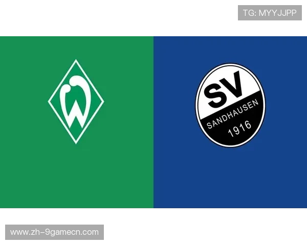 九游娱乐平台赞助不莱梅足球队的合作案例对其他电竞与体育品牌的启示